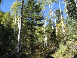 Trail from Cyphers Mine to Hunting Lodge